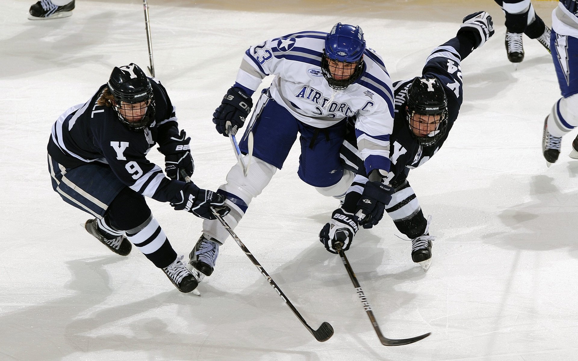 亚洲游泳锦标赛 中国队金牌总数遥遥领先